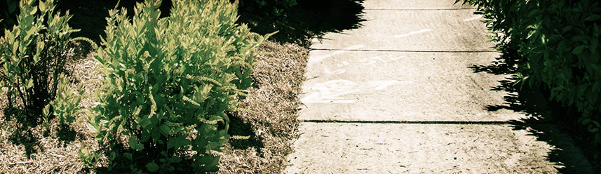 【视频教程】详细的ip攻击器网页版ddos